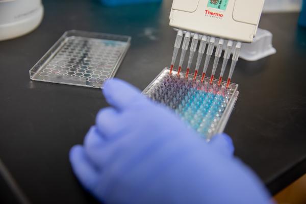 Gloved hand in lab with tray of chemicals 